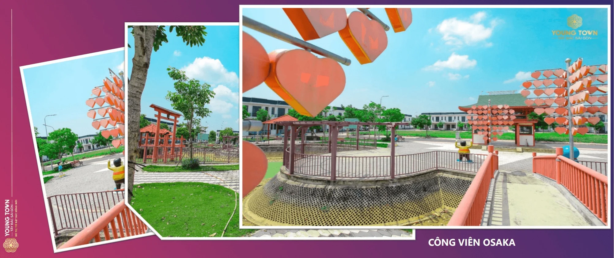 Dự án young town thắng lợi group