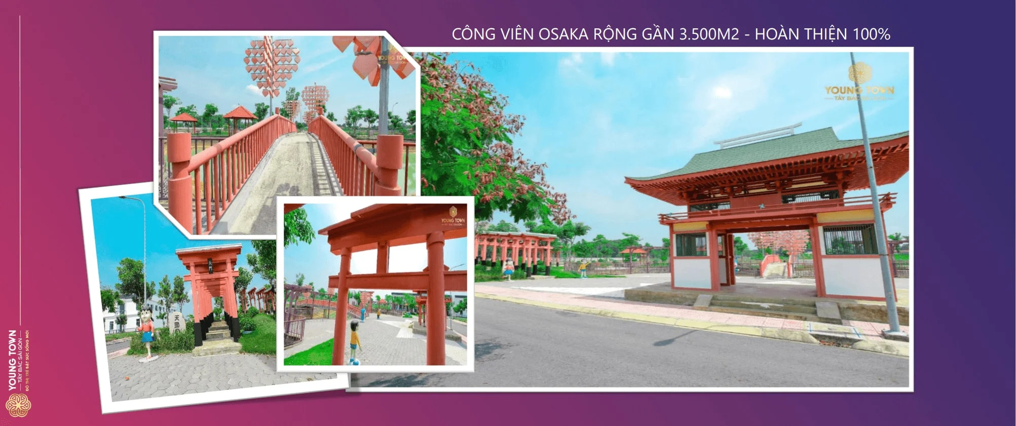 Dự án young town thắng lợi group