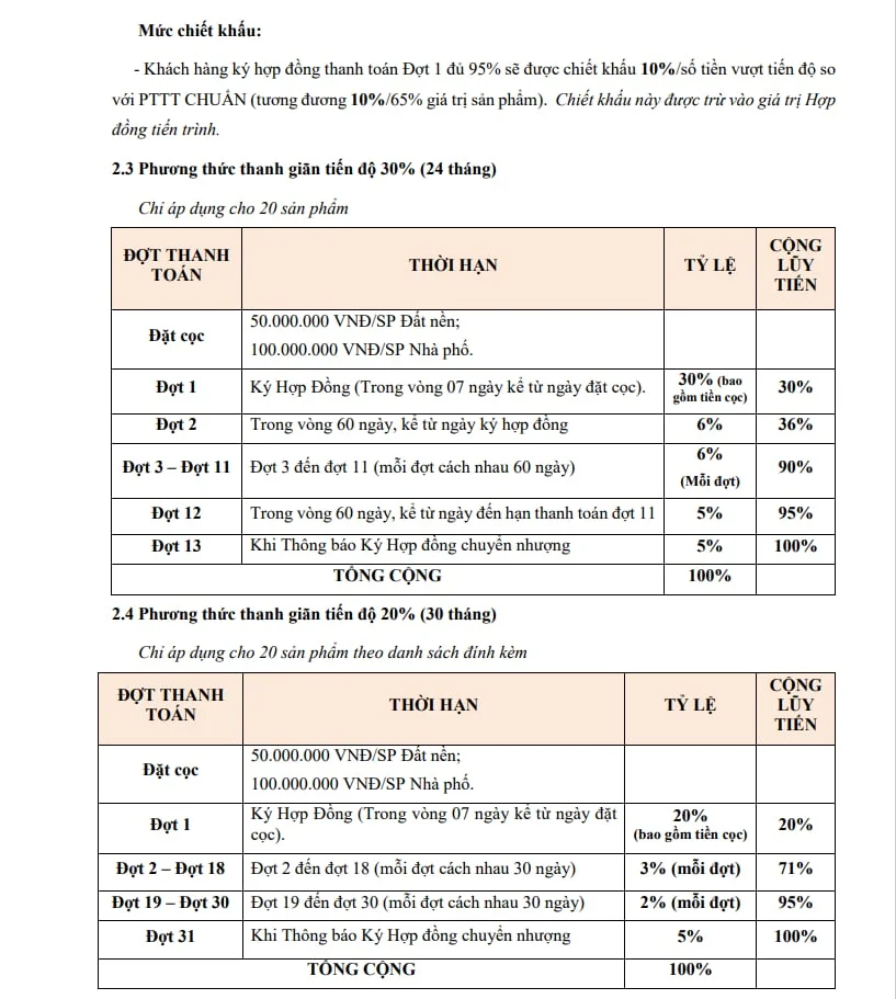 Dự án young town thắng lợi group