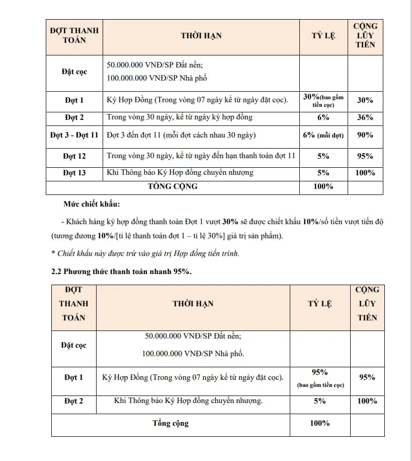 Dự án young town thắng lợi group